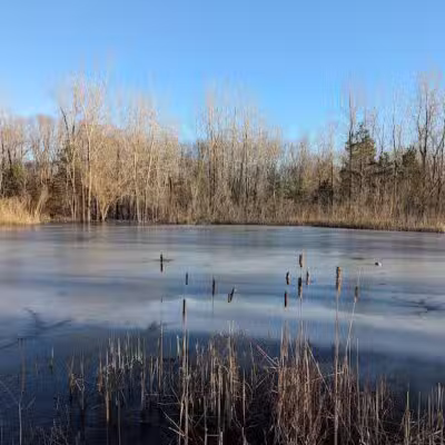 McNamara Canoe Landing - Mason,