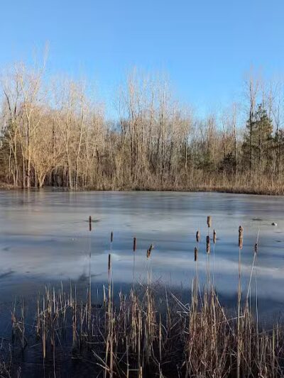 McNamara Canoe Landing - Mason,
