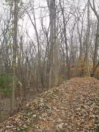 McNamara Canoe Landing - Mason,