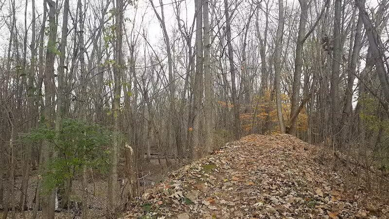 McNamara Canoe Landing - Mason,