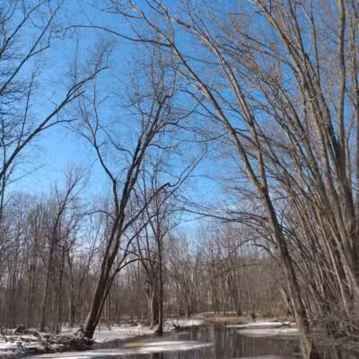 McNamara Canoe Landing - Mason,