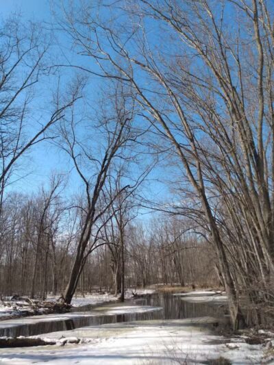 McNamara Canoe Landing - Mason,