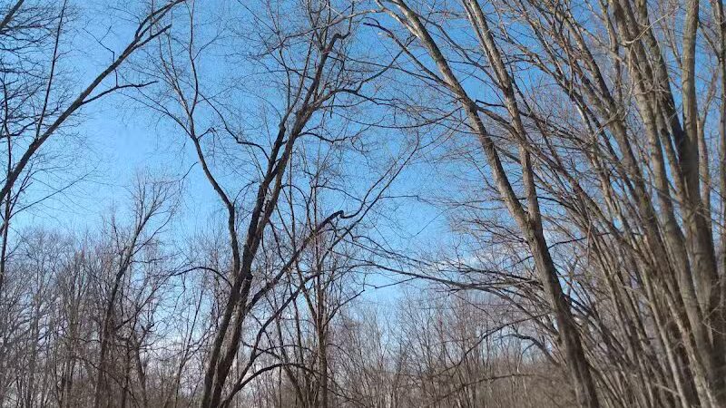 McNamara Canoe Landing - Mason,