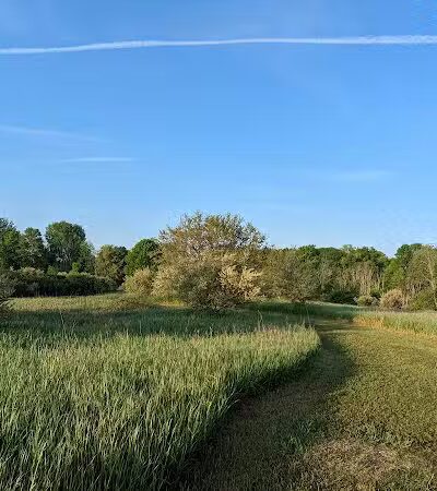 McNamara Canoe Landing - Mason,