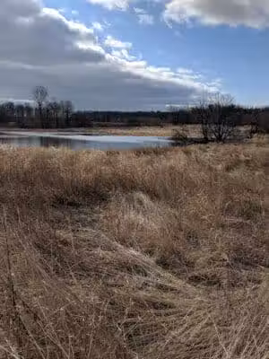 Bunker Nature Preserve - Mason,