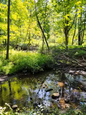 ICD Trailhead - Mason,