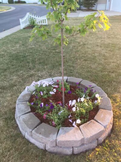 Sycamore Village - Mason,