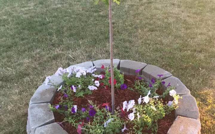 Sycamore Village - Mason,