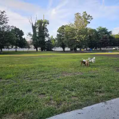 Town of Oyster Bay Dog Park - Massapequa, NY