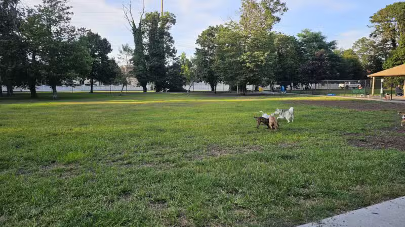 Town of Oyster Bay Dog Park - Massapequa, NY