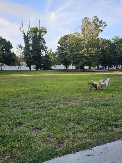 Town of Oyster Bay Dog Park - Massapequa, NY