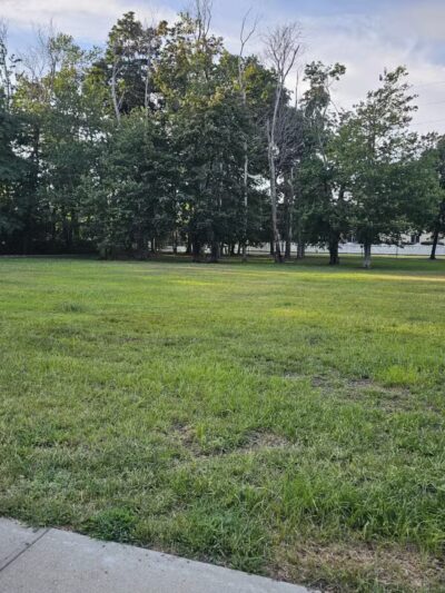 Town of Oyster Bay Dog Park - Massapequa, NY