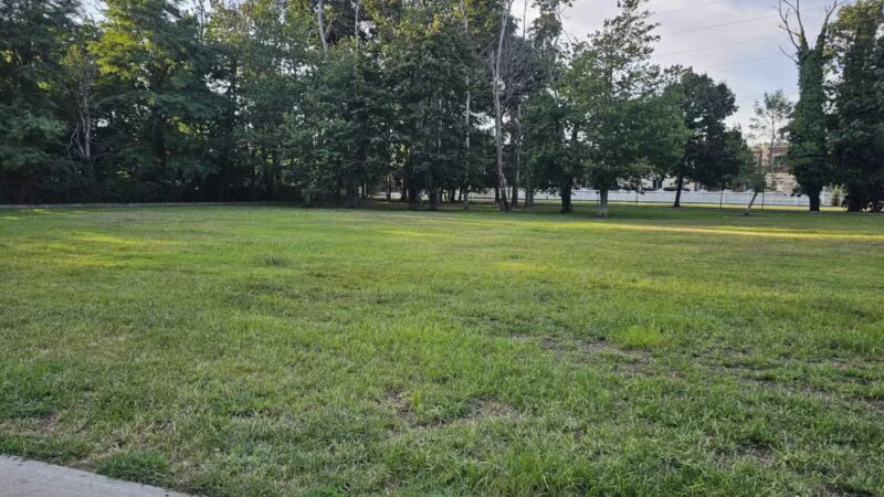 Town of Oyster Bay Dog Park - Massapequa, NY