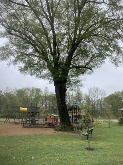 Mathiston Park - Mathiston, MS