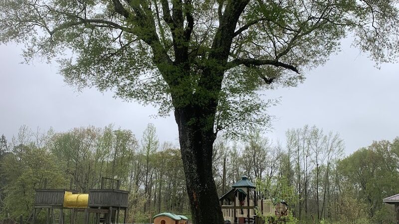 Mathiston Park - Mathiston, MS