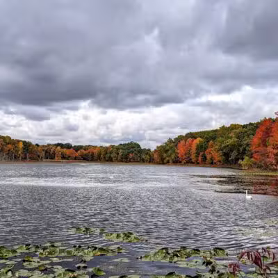 Mattawan Park - Mattawan,