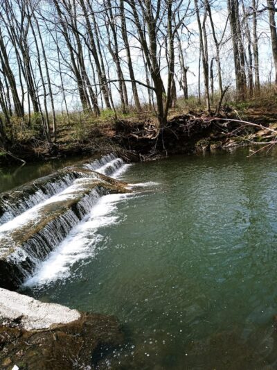Maynard City Park - Maynard, IA