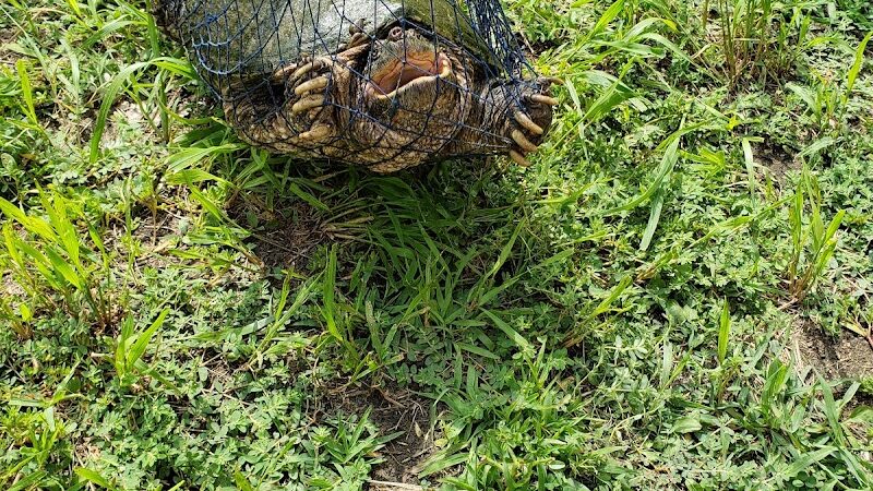 Maynard City Park - Maynard, IA