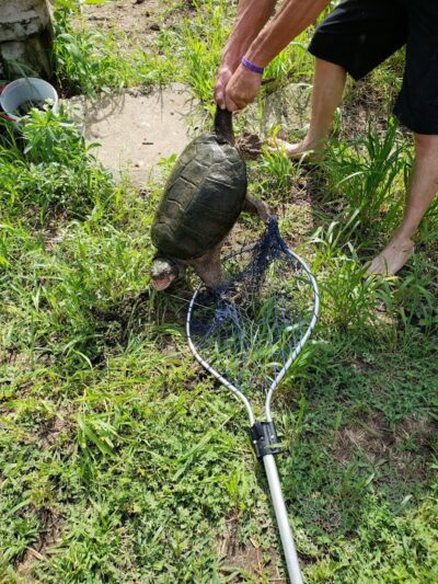 Maynard City Park - Maynard, IA