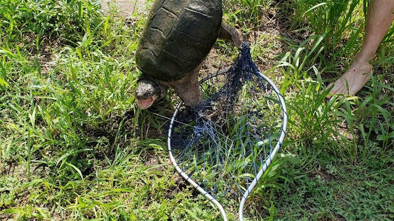 Maynard City Park - Maynard, IA