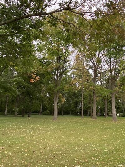 Maynard City Park - Maynard, IA