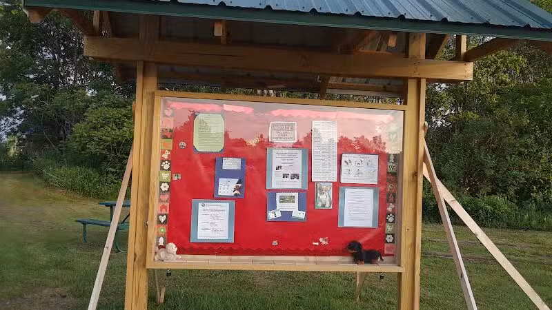 Lakeside Bark Dog Park - Mayville,