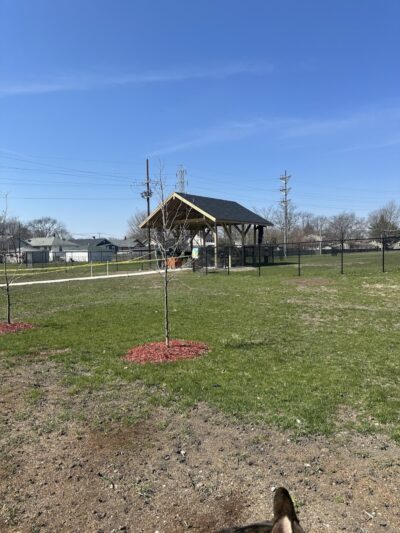 Maywood Dog Park - Maywood, IL