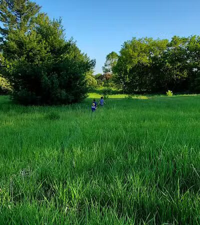 McBain City Park - McBain,