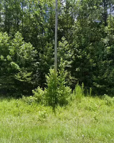 Humane Society Of McCormick County - McCormick, SC