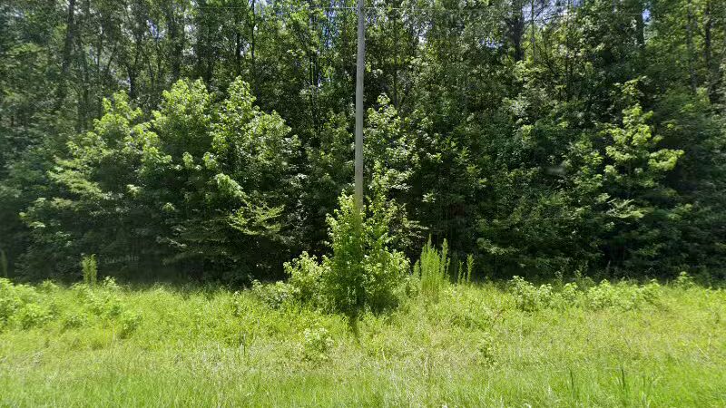 Humane Society Of McCormick County - McCormick, SC