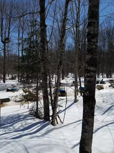 Nature's Kennel Sled Dog Racing and Adventures - McMillan,