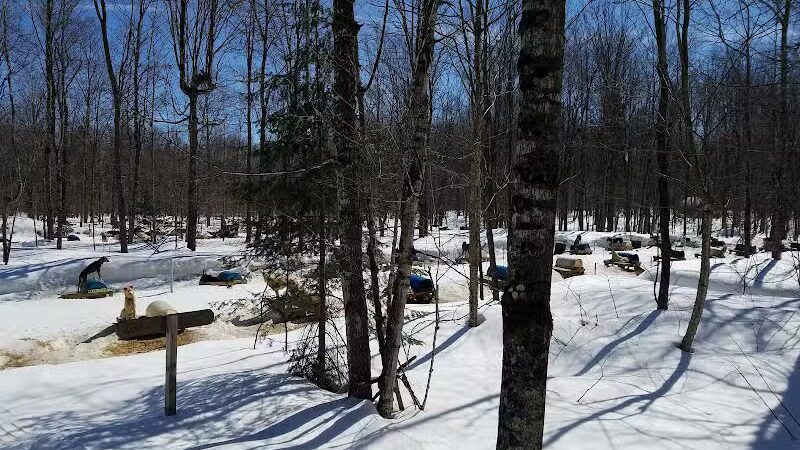 Nature's Kennel Sled Dog Racing and Adventures - McMillan,