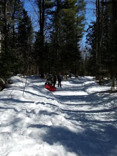 Nature's Kennel Sled Dog Racing and Adventures - McMillan,