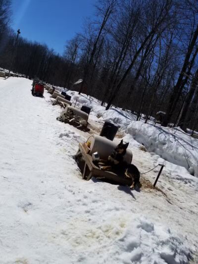 Nature's Kennel Sled Dog Racing and Adventures - McMillan,