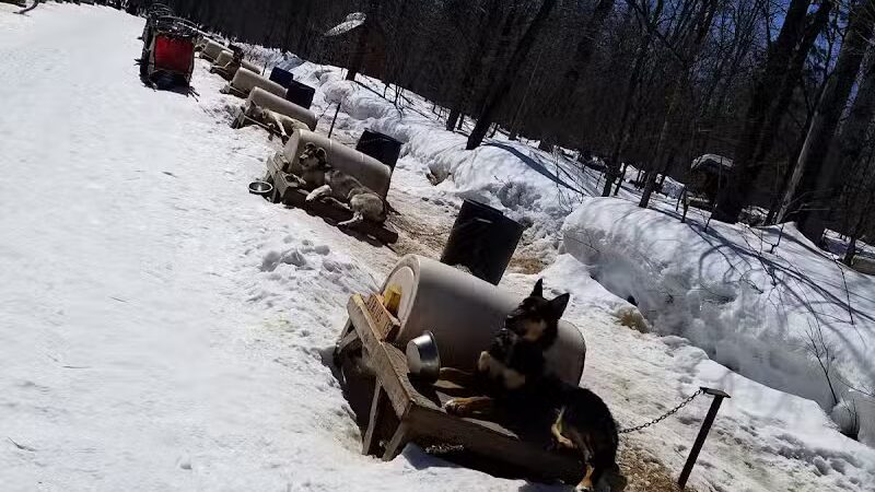 Nature's Kennel Sled Dog Racing and Adventures - McMillan,