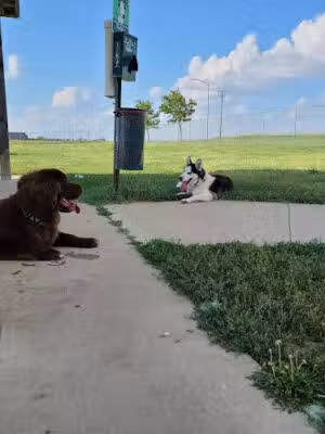 Bremyer Dog Park - McPherson, KS