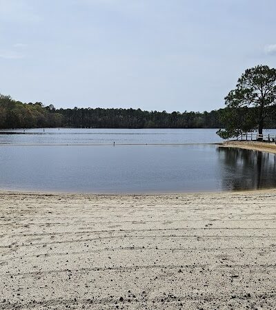 Little Ocmulgee State Park cabin - McRae-Helena, GA