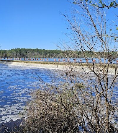 Little Ocmulgee State Park cabin - McRae-Helena, GA