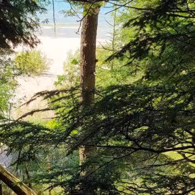 Cedar Point County Park - Mears,