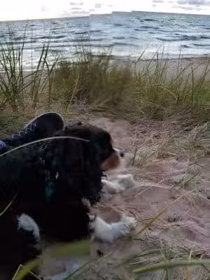Golden Township Park at Lake Michigan - Mears,