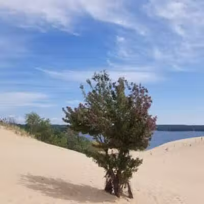 Silver lake beach - Mears,