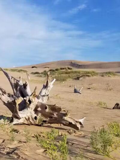 Silver lake beach - Mears,