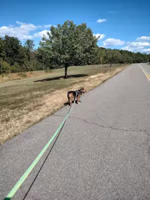 Chaptico Park - Mechanicsville, MD