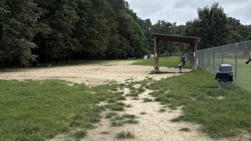 Pole Green Dog Park - Mechanicsville, VA