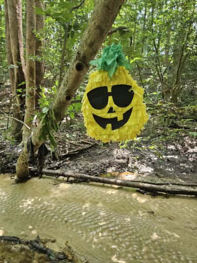 Pole Green Park - Mechanicsville, VA