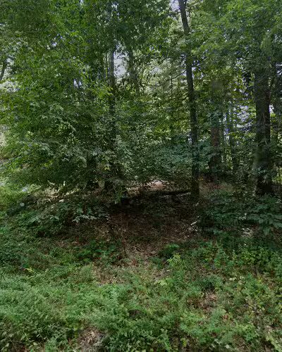 Shattuck Reservation - Medfield, MA