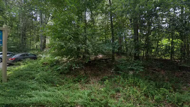 Shattuck Reservation - Medfield, MA