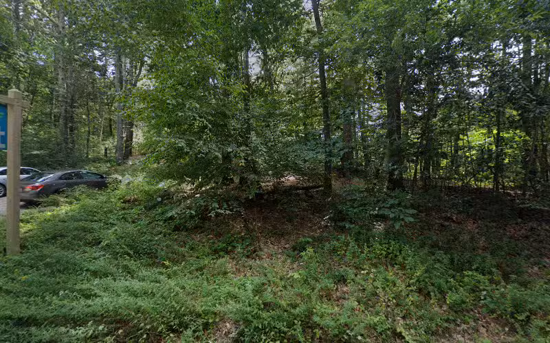 Shattuck Reservation - Medfield, MA