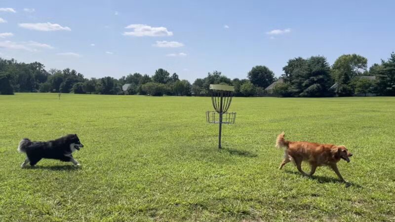 Freedom Barks - Medford, NJ