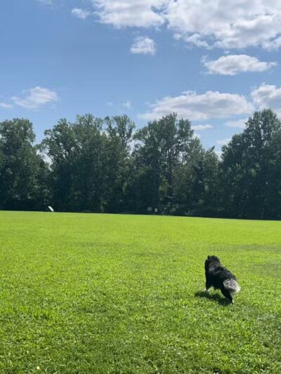 Freedom Barks - Medford, NJ